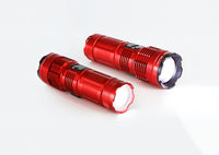iCheck Pro 1800R LED Torch